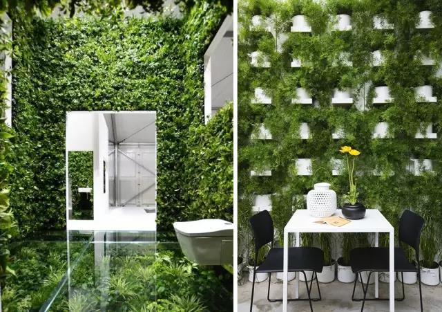 綠植長(zhǎng)在墻上，個(gè)性又省地方！